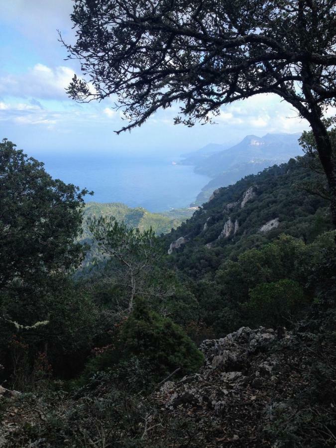 Home In Tramuntana Port des Canonge ภายนอก รูปภาพ